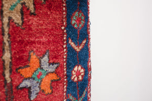 5x10 Persian Zanjan Rug | BAGHII