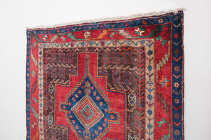 5x10 Persian Zanjan Rug | BAGHII