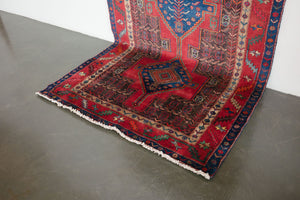 5x10 Persian Zanjan Rug | BAGHII