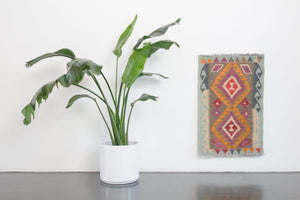 2x3 Turkish Rug | TUMAY