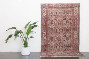 5x8.5 Turkish Melis Rug | AKSAL