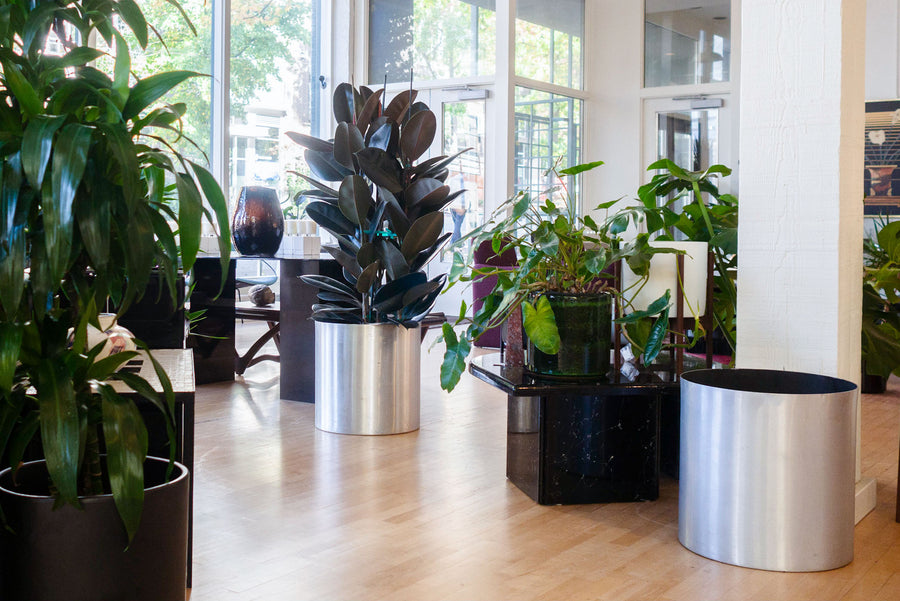 XL Paul Mayen Planter
