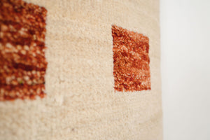 6x9 Ziegler Chobi Rug | KAWAH