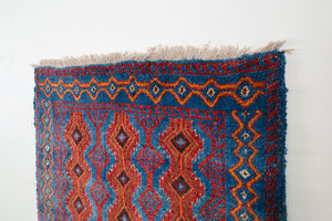 3x6 Afghan Akhjah Rug | ROZBEH