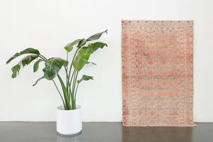 3x5 Afghan Rug | BEHRANG