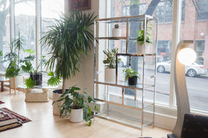 Milo Baughman Chrome Shelf
