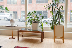 MC Smoked Glass Coffee Table