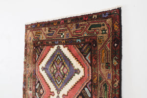 2.5x9.5 Persian Rug | MANESH
