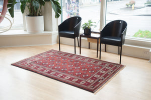 4x6 Persian Rug | DANESH