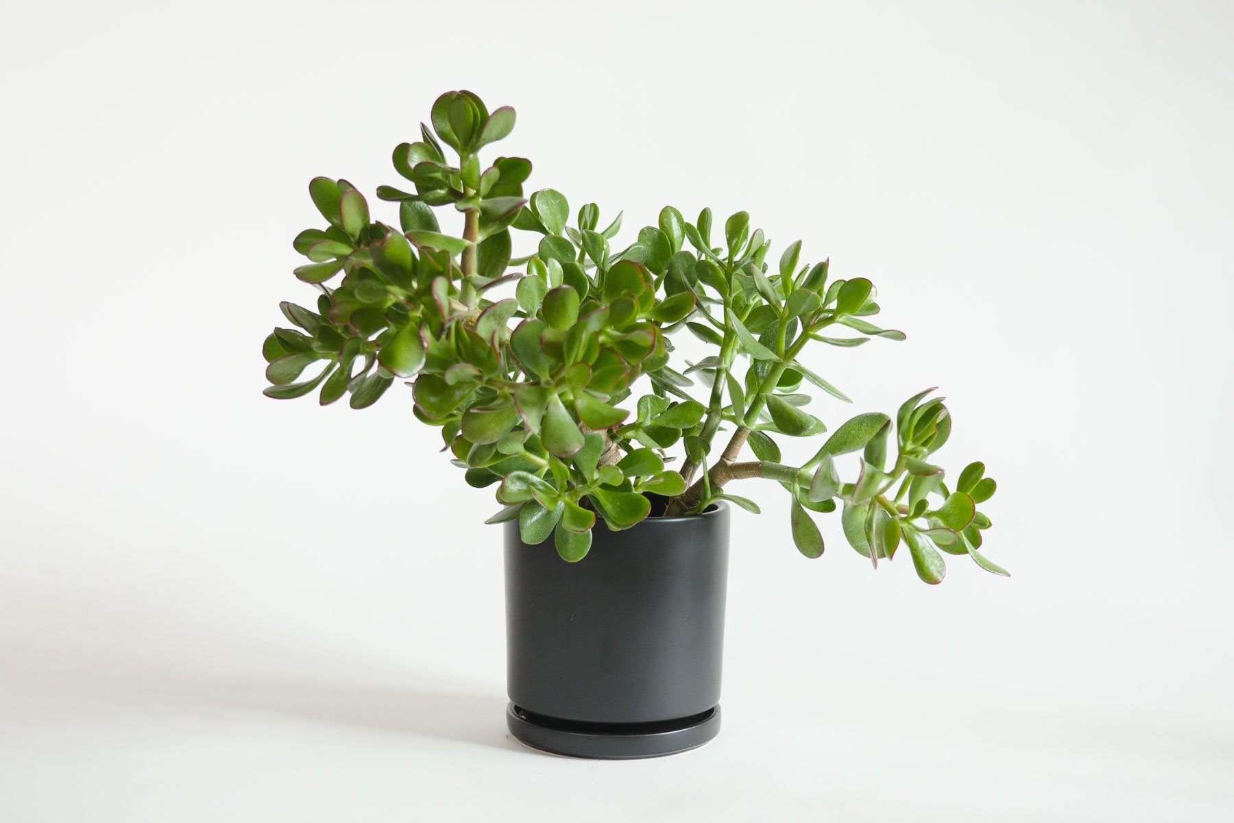 assorted jade (Package B)