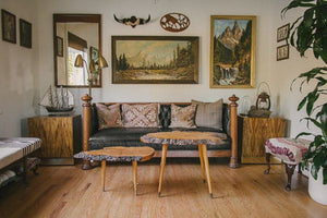 Mounted Cowhide Bullhorns