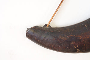 Bison Horn Wall Art
