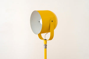 MCM Adjustable Floor Lamp