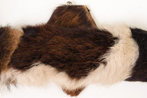 Mounted Cowhide Bullhorns