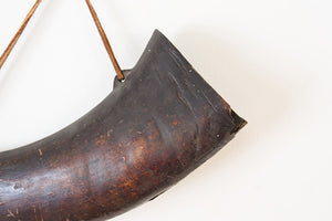 Bison Horn Wall Art