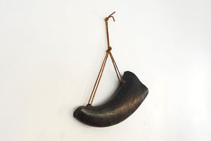 Bison Horn Wall Art