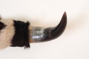 Mounted Cowhide Bullhorns