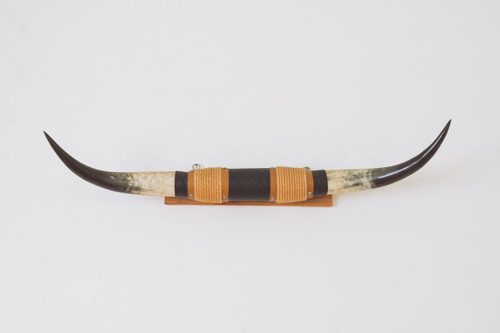 Large Vintage Longhorns