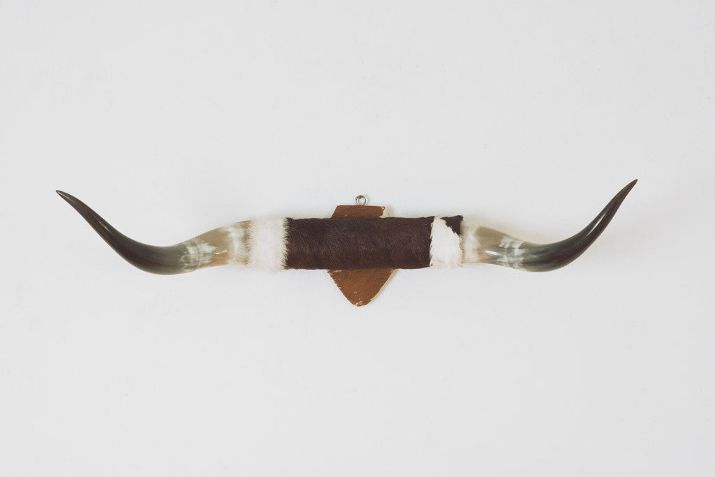 Vintage Cowhide Bullhorns