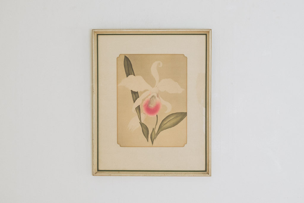 Orchid Watercolor Print