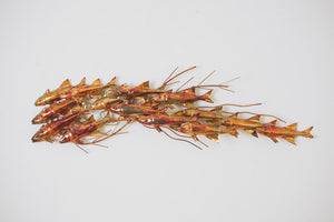 Jere Era Fish Art