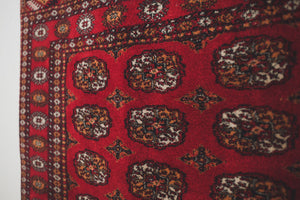 4x6 Bukhara Rug