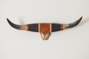 Vintage Longhorns