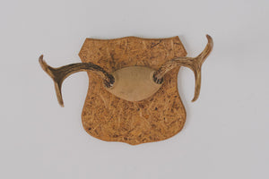 Vintage Mounted Antlers