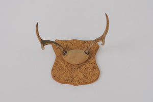 Vintage Mounted Antlers