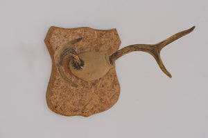 Vintage Mounted Antlers
