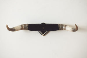 Vintage Bullhorns