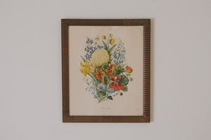 Vintage Botanical Print