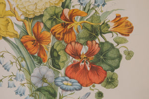Vintage Botanical Print