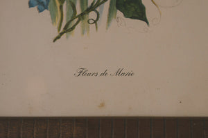 Vintage Botanical Print