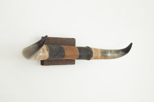 Rustic Bullhorns
