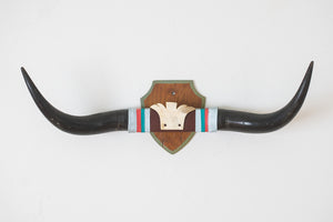 Vintage Longhorns