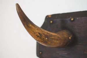 Antique Bullhorns