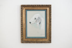 Pastel Dog Portrait