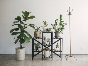 Black Slat Shelf