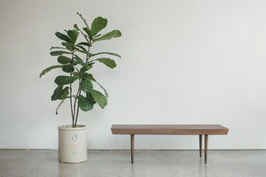 MC Slat Bench