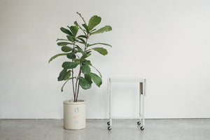 MC Bar Cart