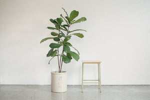 MC Industrial Stool
