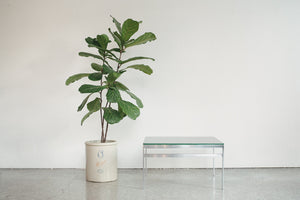 Chrome Coffee Table