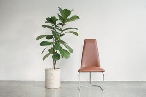 Leather & Chrome Chair