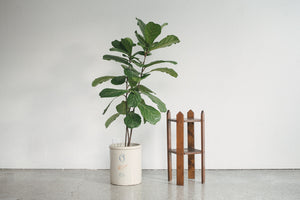 Craftsman Plant Stand