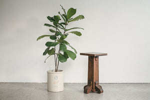 Craftsman Plant Stand