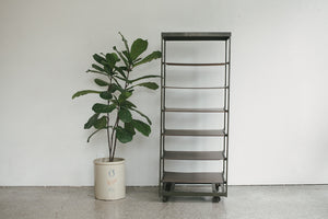 Industrial Rolling Shelf