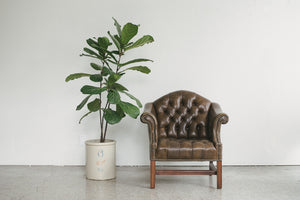 Leather Club Chair