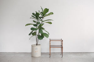 Mahogany Side Table