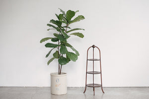 Tiered Plant Stand